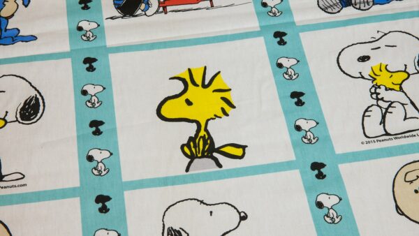 Snoopy e Amigos